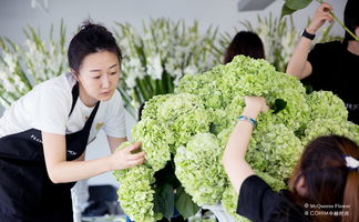 25年老牌花店的利潤常青藤 從零售拓展至酒店、宴會與景觀工程